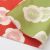 Plum Blossom