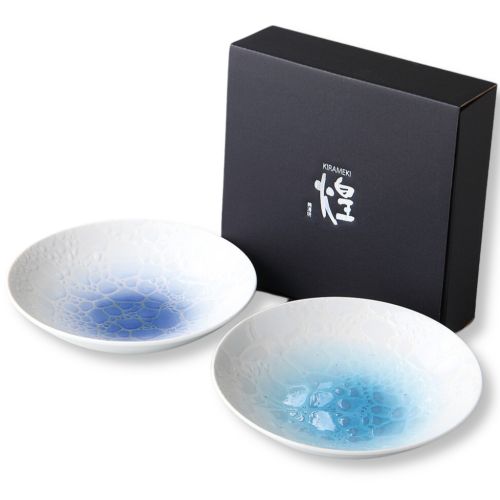 MINO WARE OKINAWA CHURA OCEAN MOTIF CURRY PLATES PAIR SET