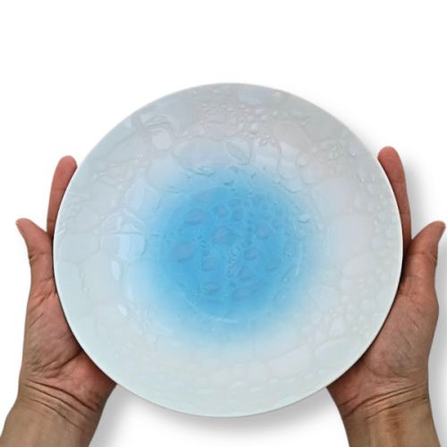 MINO WARE OKINAWA CHURA OCEAN MOTIF CURRY PLATES PAIR SET