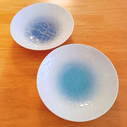 MINO WARE OKINAWA CHURA OCEAN MOTIF CURRY PLATES PAIR SET