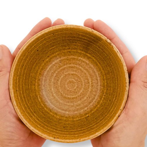 MINO WARE SHINOGI WALNUT BROWN SMALL RICE BOWL SET OF 2