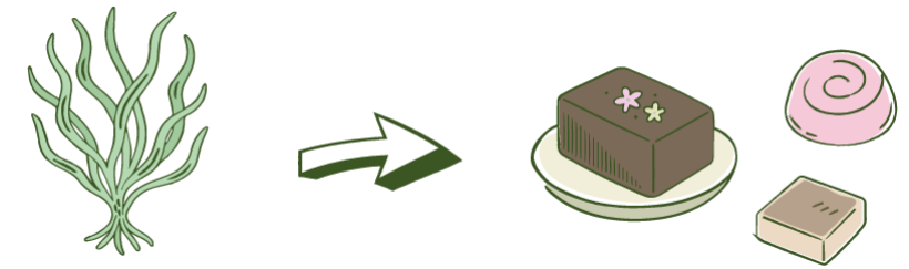 Discover the Appeal of Agar, an Essential Ingredient in Traditional Japanese Sweets
