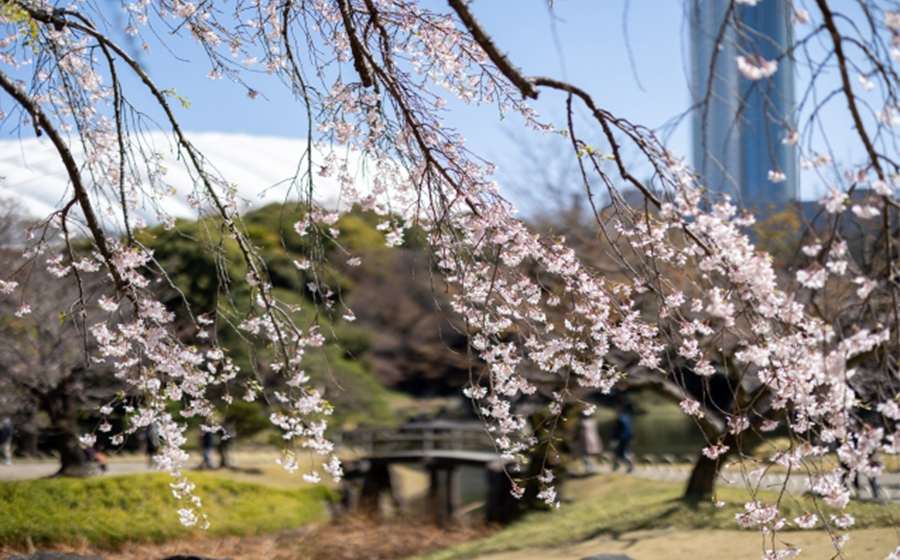 bunkyo-koishikawakorakuen