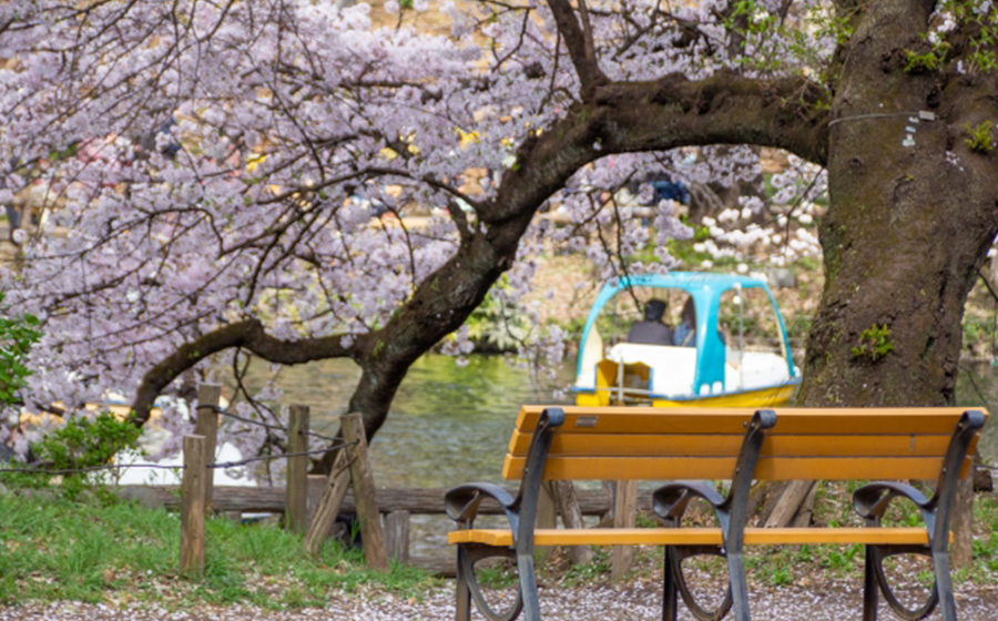 kichijoji-inogashira