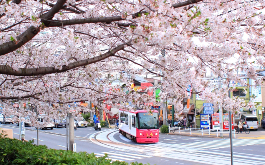 kitaku-asukayamapark