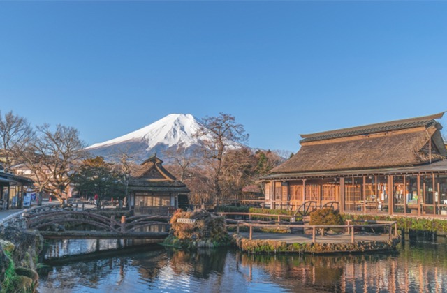 yamanashi-oshinohakkai