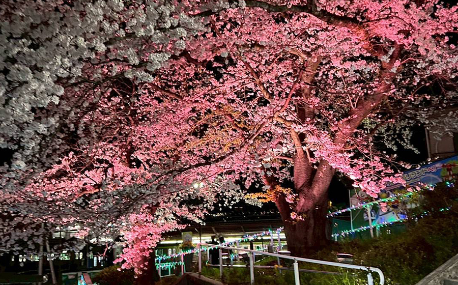 inagi-yomiuriland
