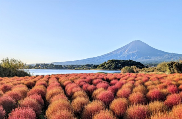 kawaguchilac