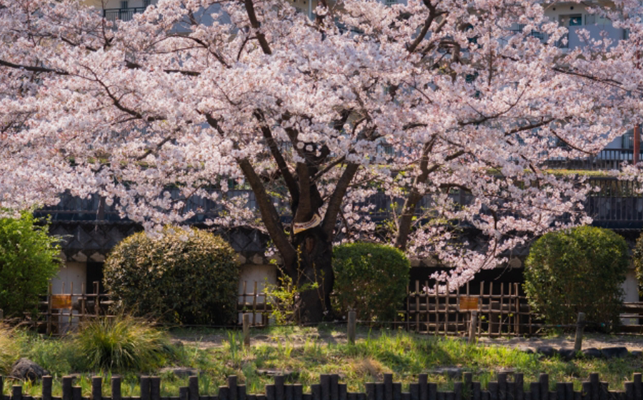 nakano-tetsugakudo