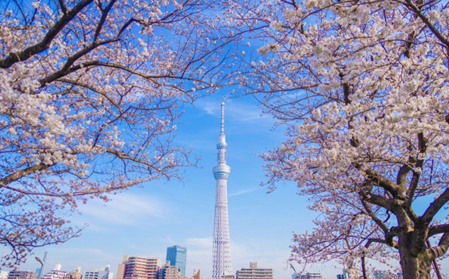 sumida-sumidapark